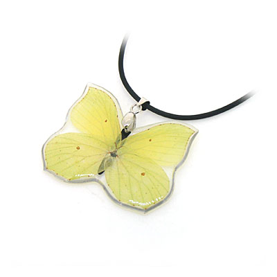黃蝴蝶標(biāo)本琥珀精品項(xiàng)鏈