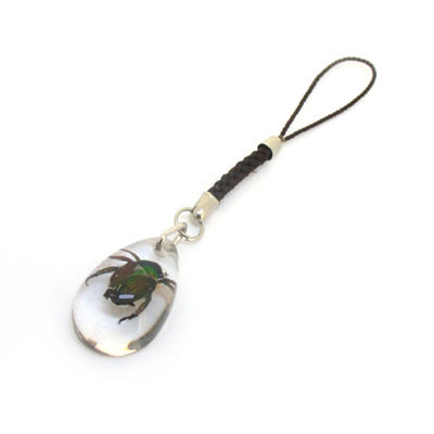 水滴昆蟲手機(jī)掛件/廠家直銷透明琥珀飾品